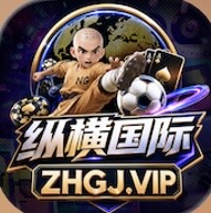 纵横国际
